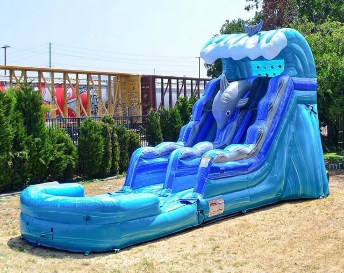 Dolphin-themed inflatable water slide for outdoor parties and events